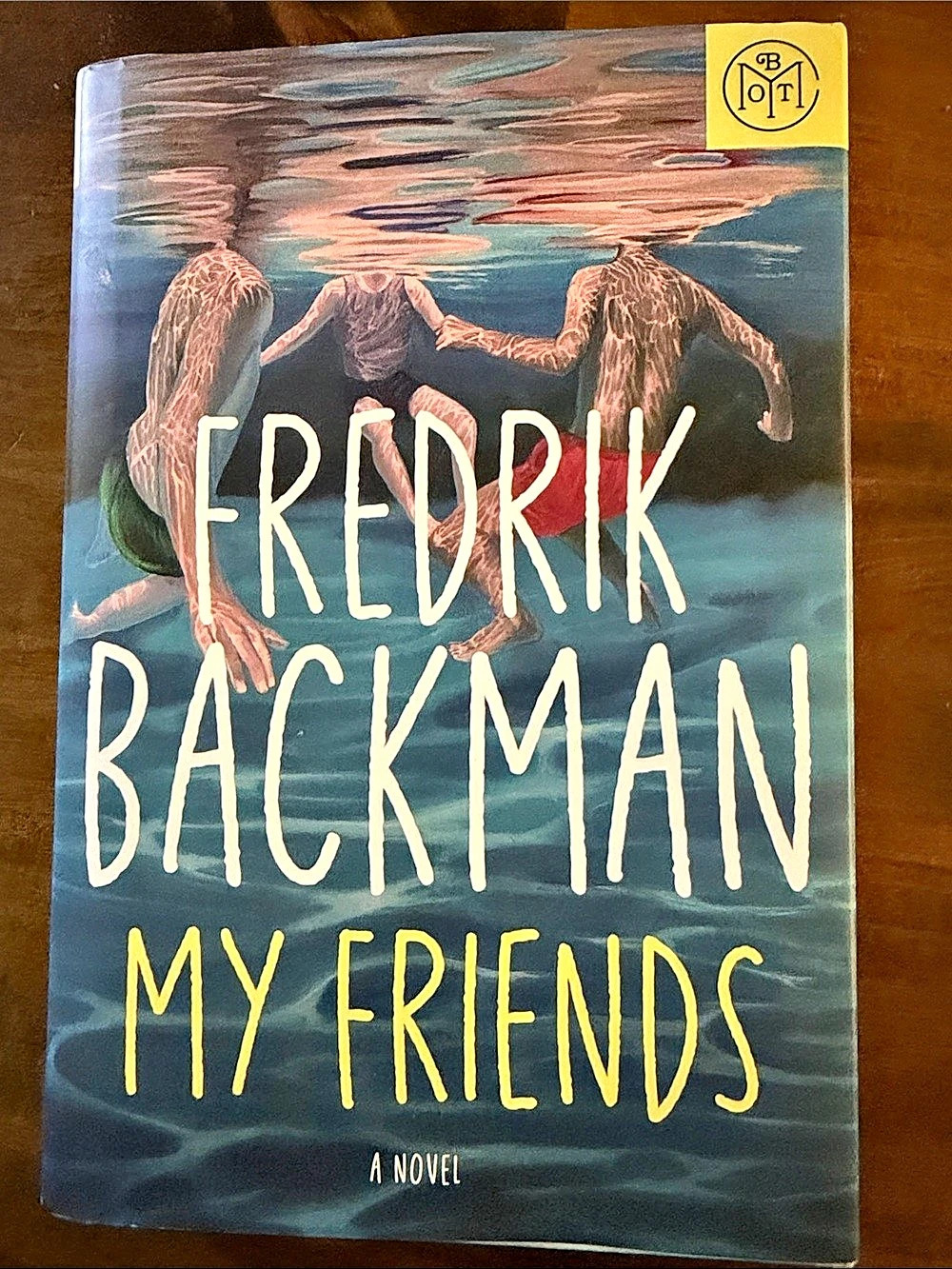 Book of the Month My Friends Hardcover Novel